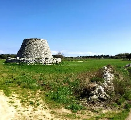 S. Venardia * Gallipoli