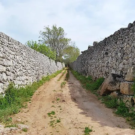 S. Venardia Gallipoli