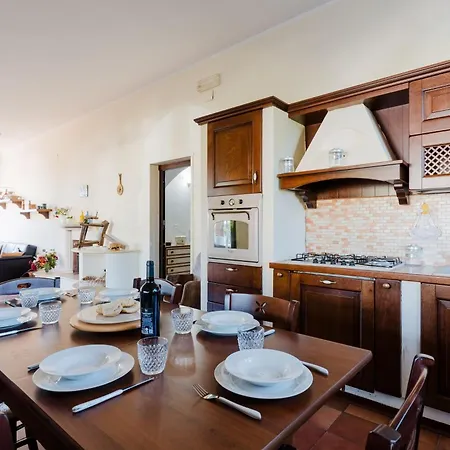 S Venardia גאליפולי