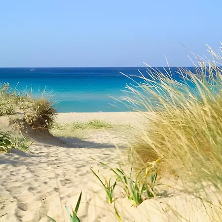 S Venardia Gallipoli