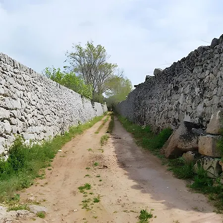 S Venardia Галлиполи