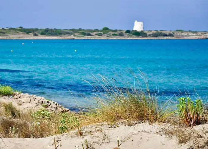 S Venardia Gallipoli