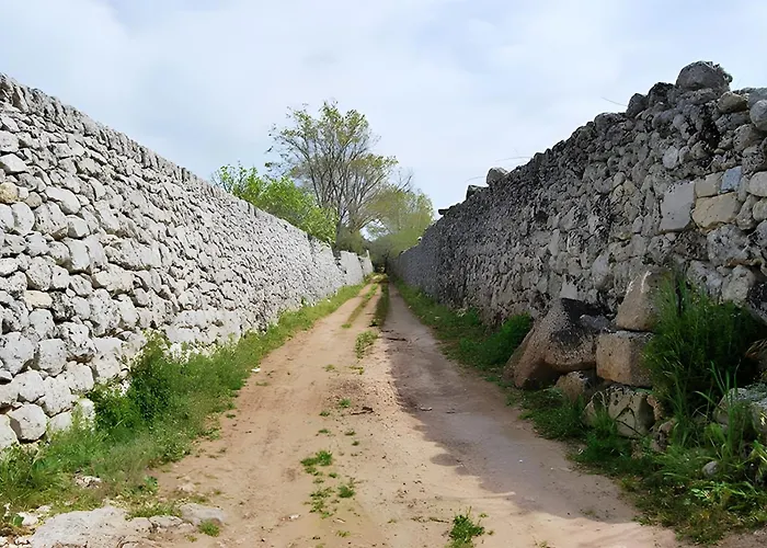 S Venardia Галлиполи